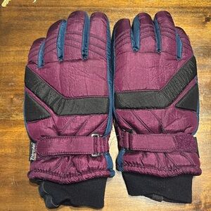 Thinsulated Gloves
